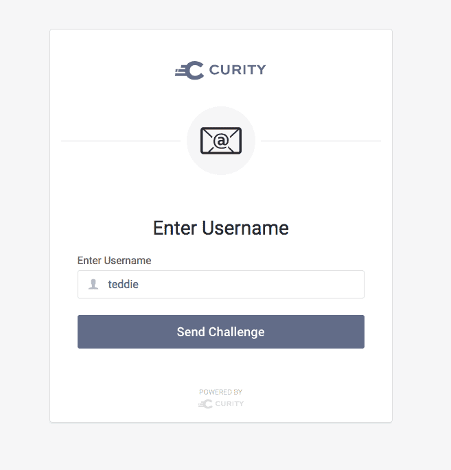 Email authenticator - Enter username