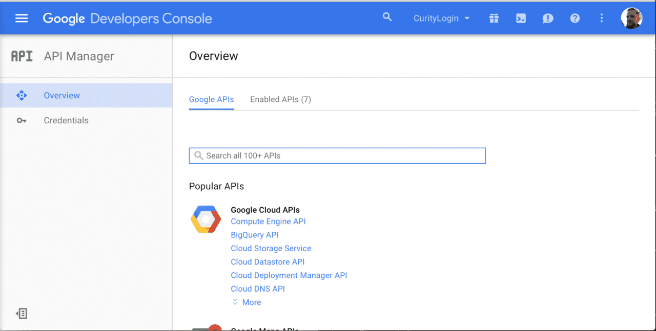 Google - Manage APIs