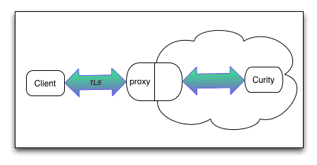 TLS connection terminated by an intermediate
