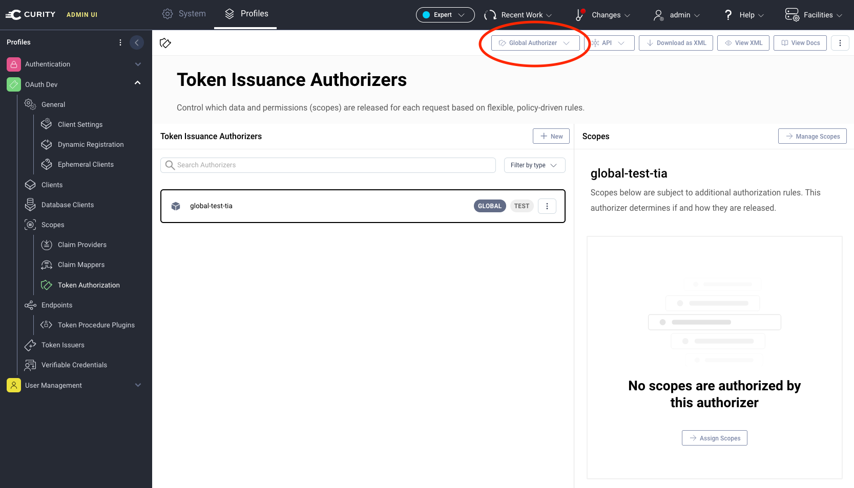 Global Token Issuance Authorizer on Scopes in Admin UI