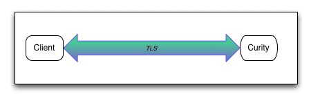 TLS connection terminated by Curity