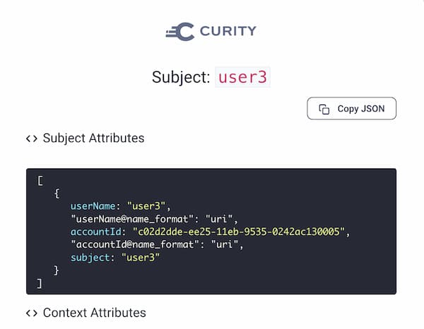 Provider 3 Debug Attribute Action Result
