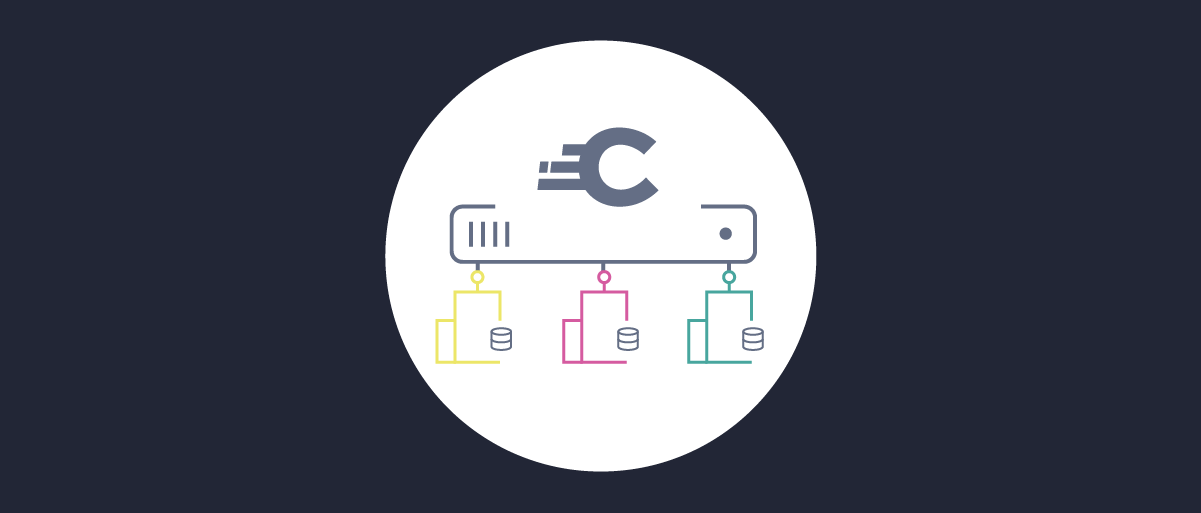 Running the Curity Identity Server in a Multi-Tenant Architecture