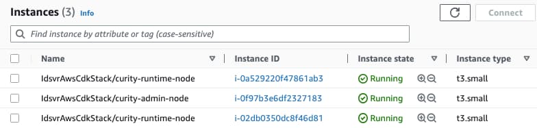 Deployed Instances