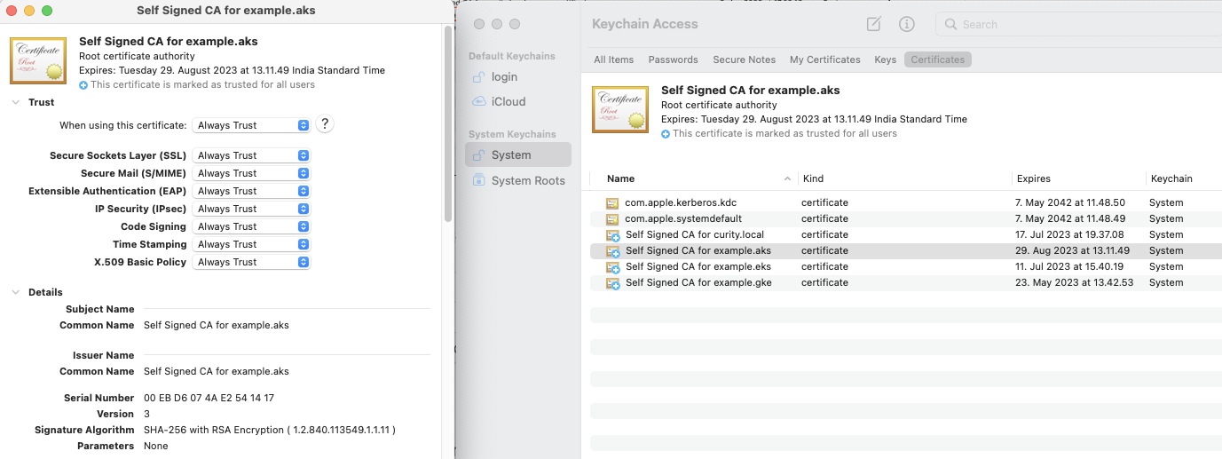 Root CA configuration