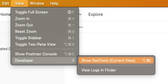 Postman DevTools