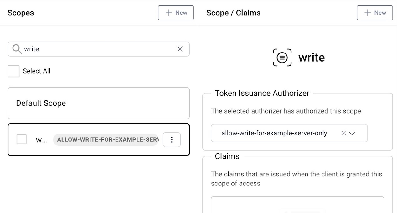 The screen shows part of the token designer. It presents the write scope in the list of scopes and next to it the selected Token Issuance Authorizer