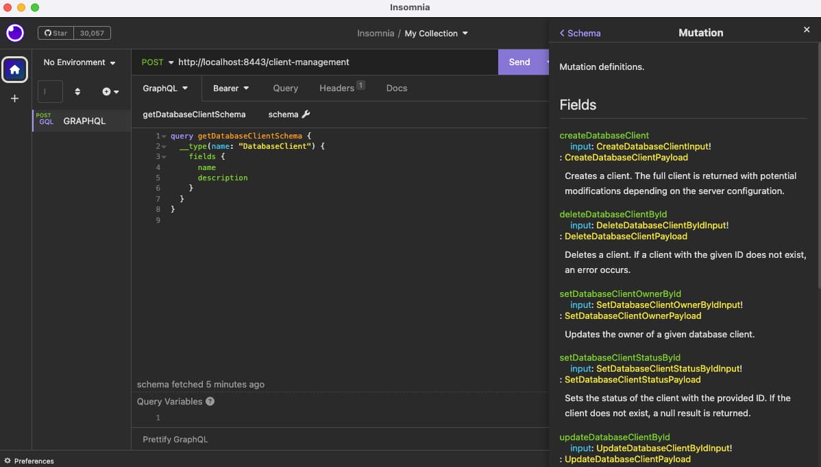 Insomnia Client Schema