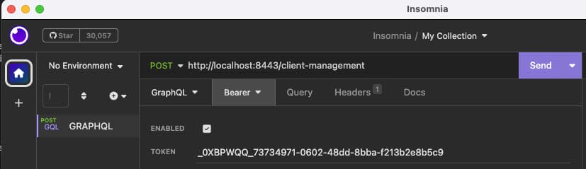 Insomnia Client Token
