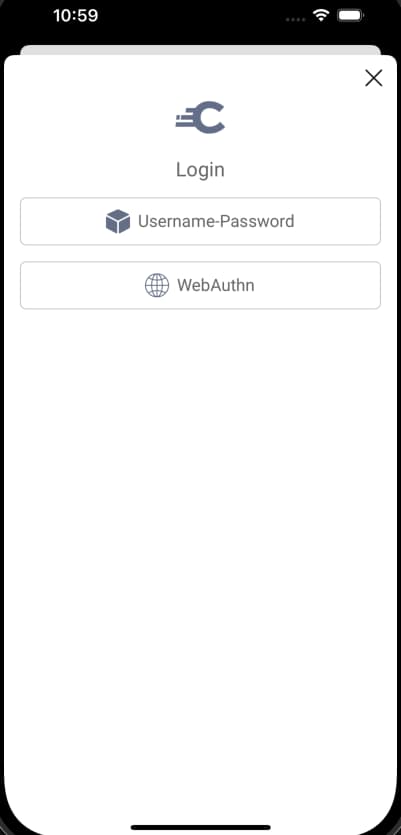 Authentication Selection iOS