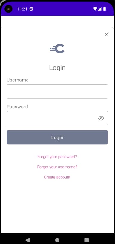 Initial Login