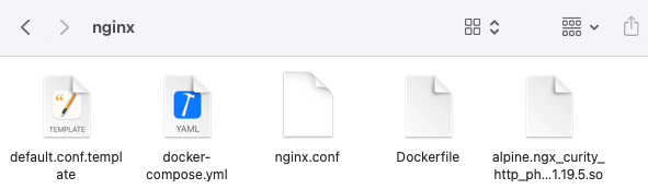 NGINX Files